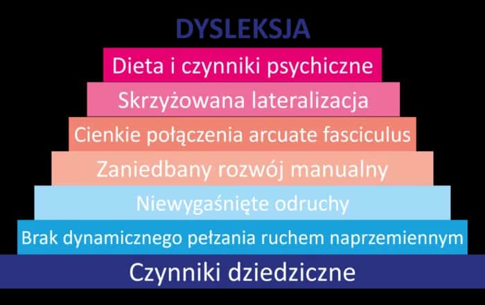 Czy dysleksja jest dziedziczna? Wpływ genów na jej rozwój